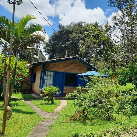 Pousada Balneario Cachoeira Do Moinho Belo Vale Exterior foto